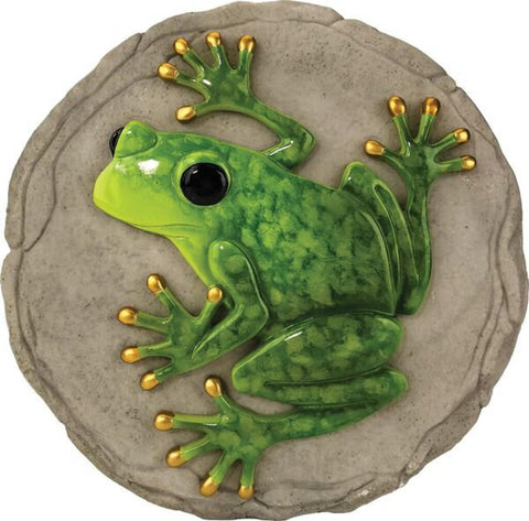 Frog Stepping Stone