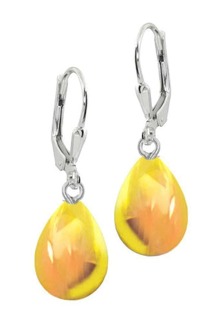 Dangle Crystal Drop Frosted Earrings